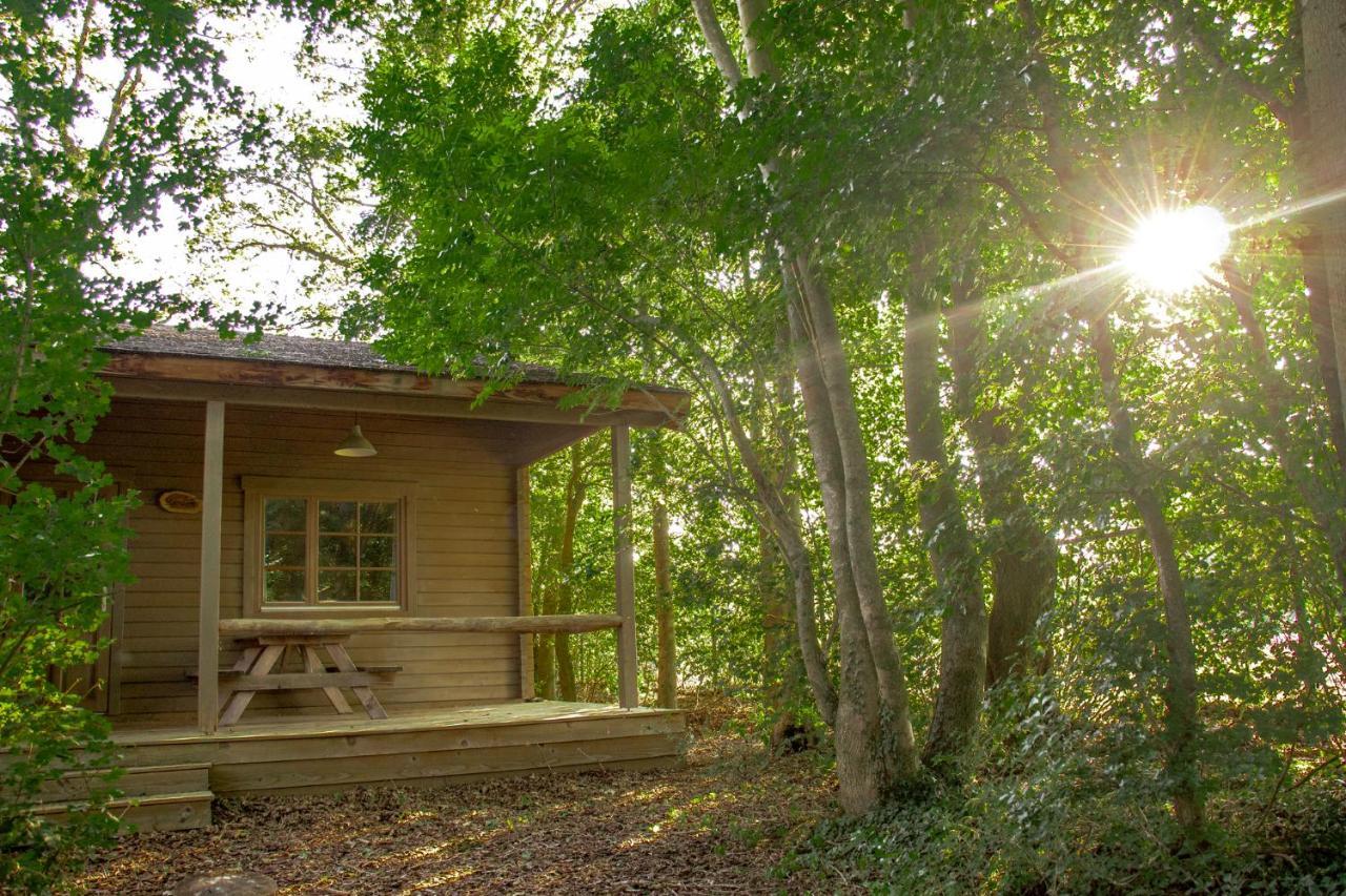 Вілла Het Hilkensberg Park Broekhuizen  Екстер'єр фото