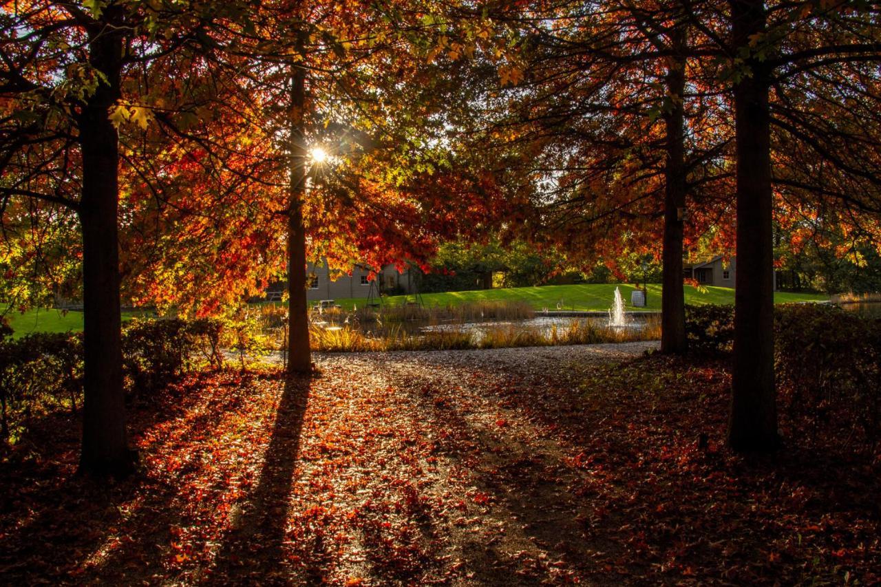 Вілла Het Hilkensberg Park Broekhuizen  Екстер'єр фото