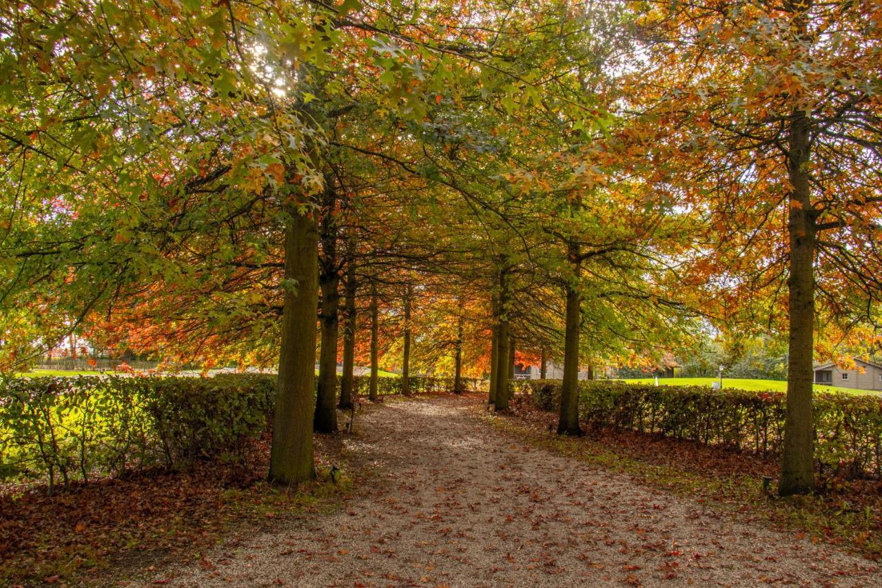 Вілла Het Hilkensberg Park Broekhuizen  Екстер'єр фото